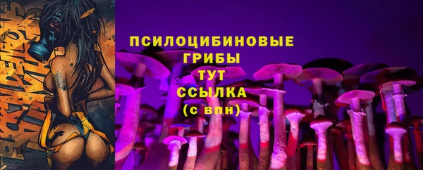 а пвп мука Арсеньев