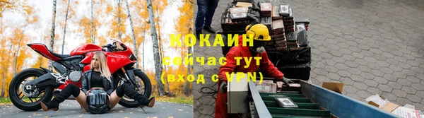 прущие крисы Армянск