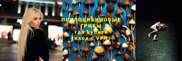 прущие крисы Армянск