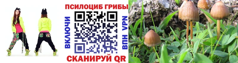 Галлюциногенные грибы ЛСД Купить Анадырь